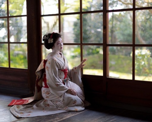 geimei:April 2017: Famous Maiko Katsuna (Daimonji Okiya) of...