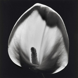 photo from Tumblr