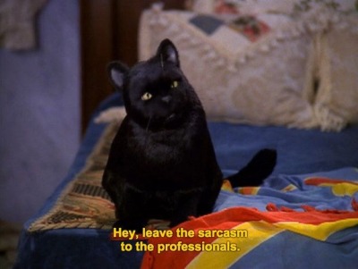 salem the talking cat | Tumblr