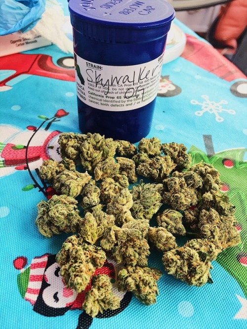 hippiehillie:Skywalker OG