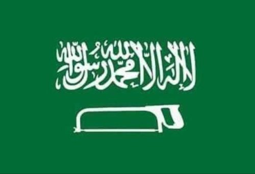 New flag Saudi Arabia flags vexillology