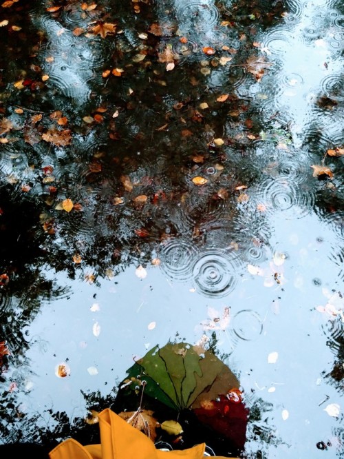 pixie-regenkind:colours in the rain