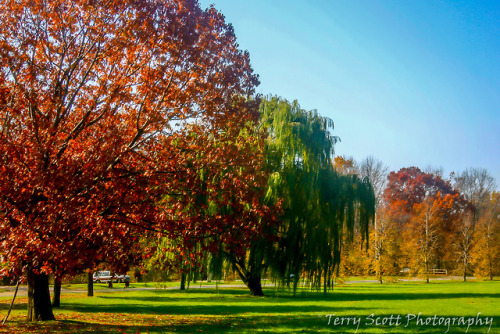 ts-56:Hello Autumn 