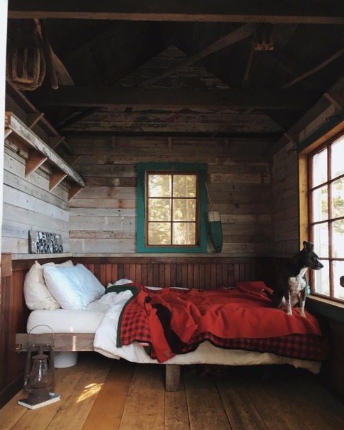 wild-cabins:FORESTBOUND