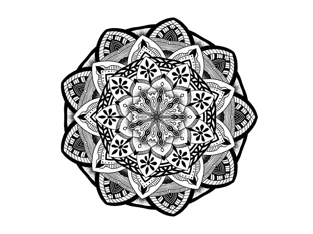 Illustration & Design - Mandalas as a Therapy•