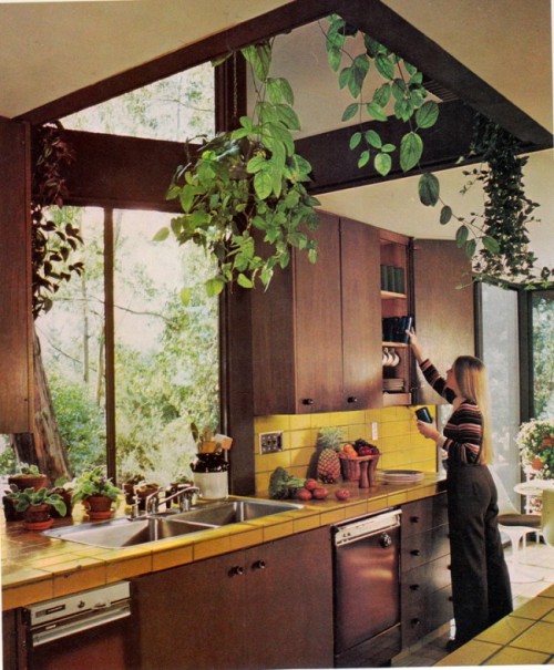 beatnikdaddio:seventies decorating. 