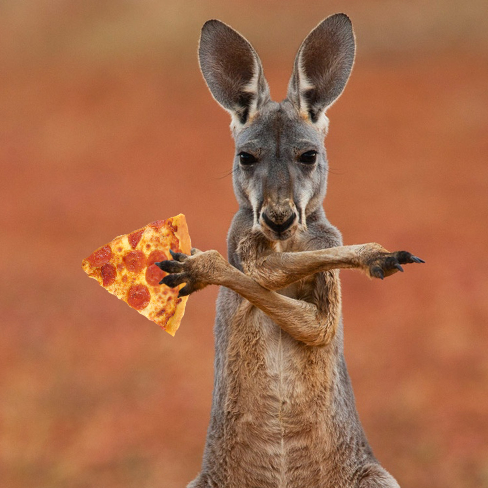 We All Eat Pizza Kangaroos Eat Pizza Some Kangaroos Are Almost 