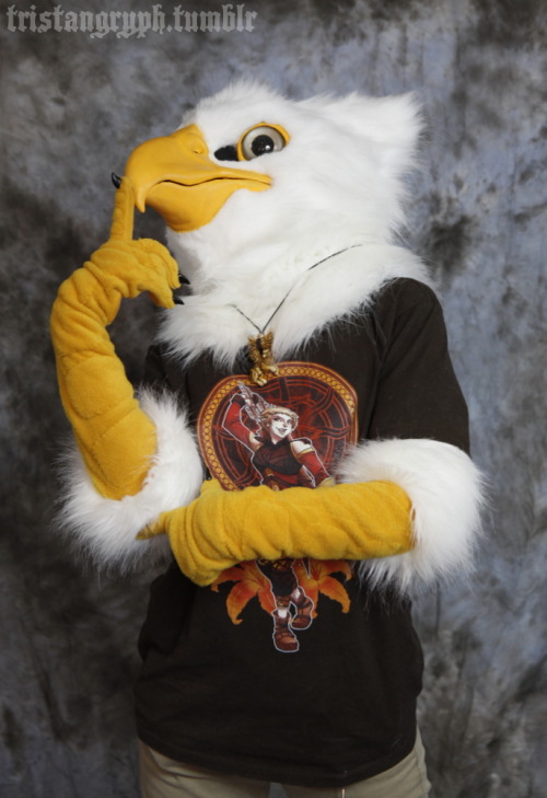 Gryphon Fursuit