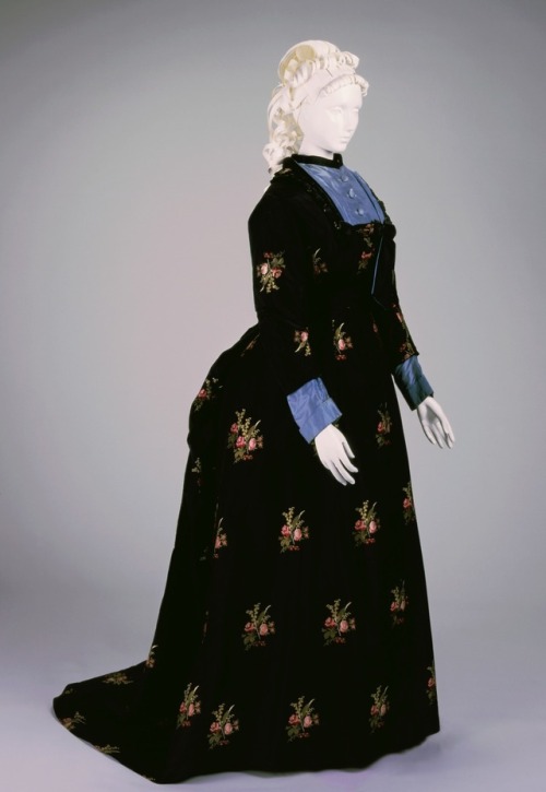 19th century 19th century fashion 19th century dress tea gown selina cadwallader 1877 1878