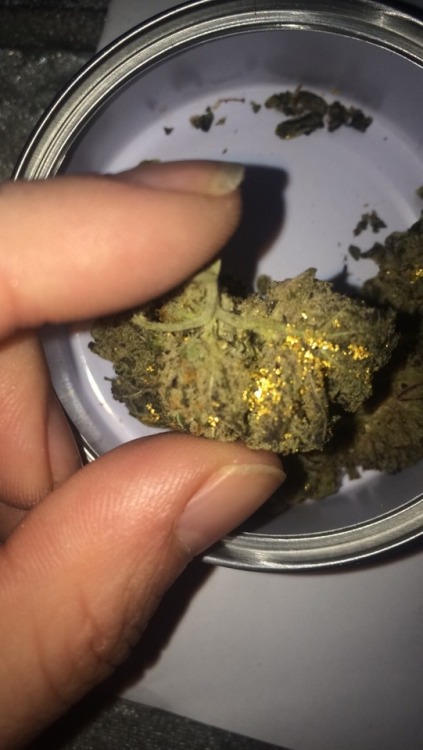 pathwayofhappiness:Gold Ganja