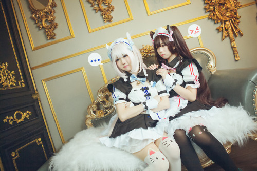 iamdorasnow:Nekopara Cosplay~Chocola cn : ReikoMiiaoVanilla...