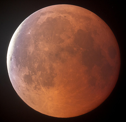 astronomyblog:Lunar eclipse 2019 Image credit: Dan Wery