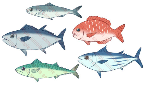 イラスト素材屋haru 魚 ５種類 鰯 鯛 鮪 鰹 鯖 イワシ タイ マグロ カツオ サバ