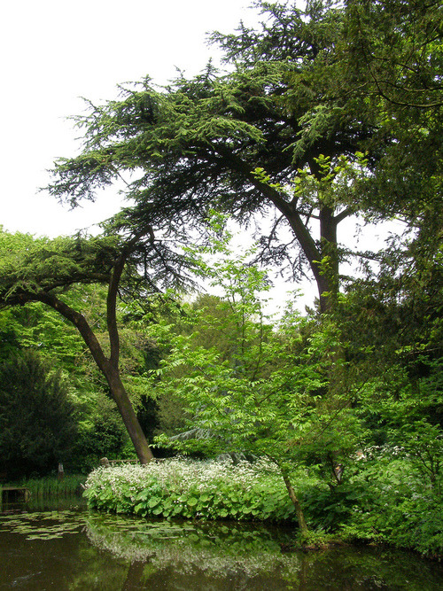 Historische Tuin Schoonoord — De Tuin