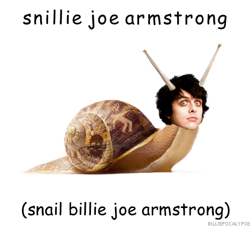 snail meme