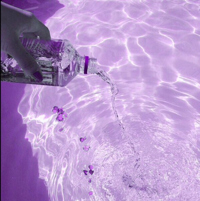 lavender on Tumblr