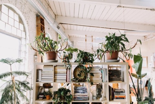 urbanjungle:Loft in old textile factory in Philadelphia,...