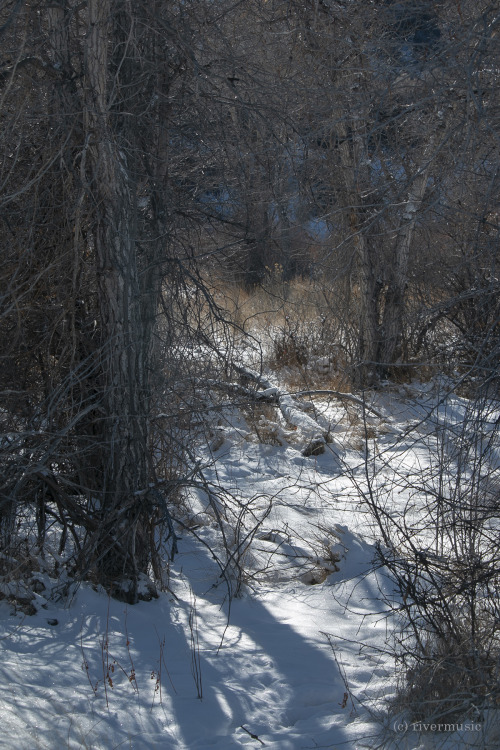 riverwindphotography