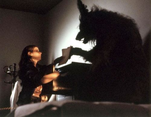 vintagegeekculture:Joe Dante’s “The Howling” (1981)