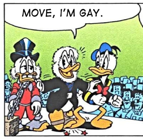 Gay Ducks Tumblr