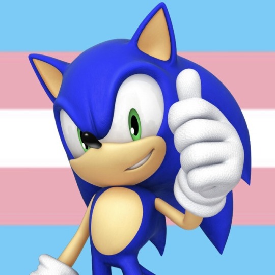 trans sonic on Tumblr