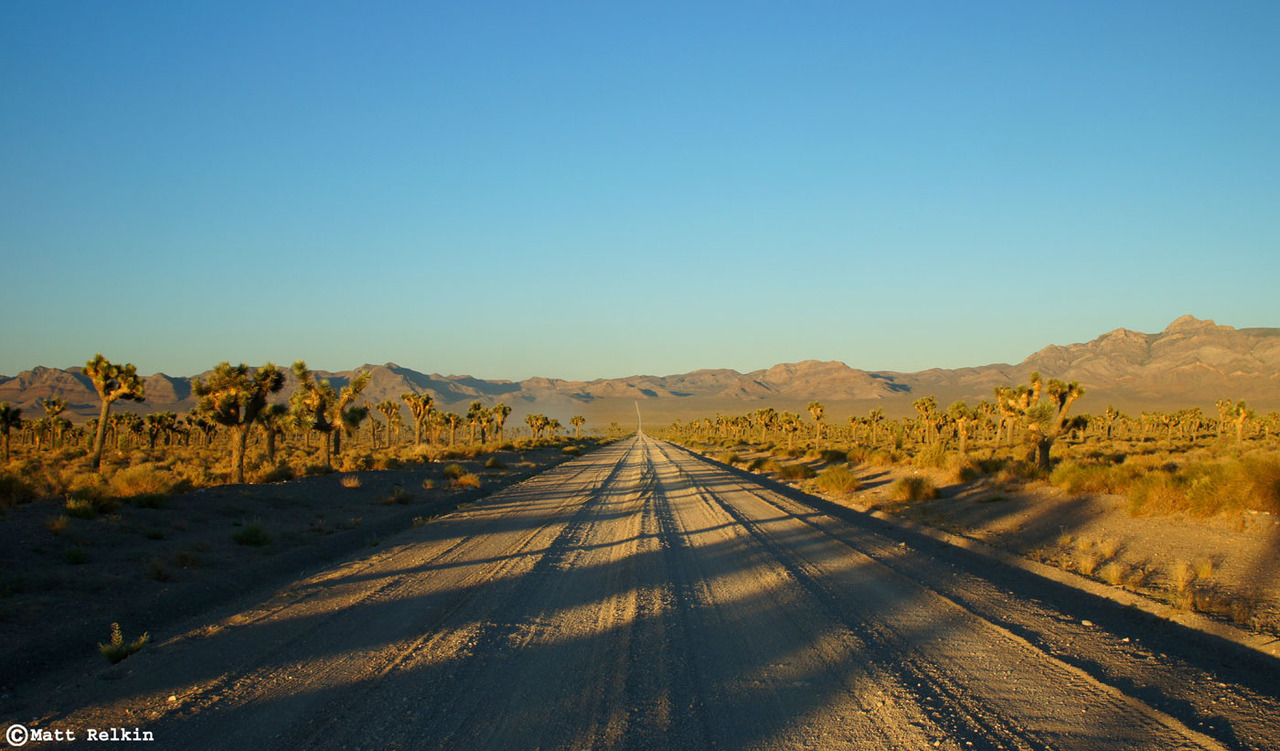 Endless Highway, Groom Lake Rd to Area 51, NV — NO LONELY ROADS