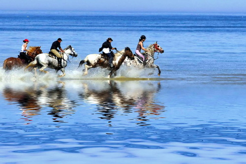 hellas-inhabitants:Mykonos Cyclades Greece. Horse Riding in the...