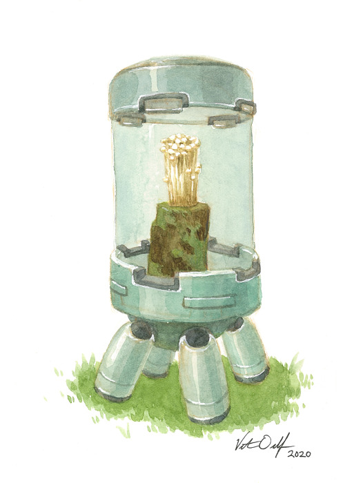 victoriaorolfoart