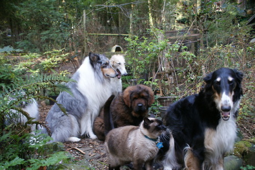 gentlealien:running-dog:Family.(A family of nerds, waiting...