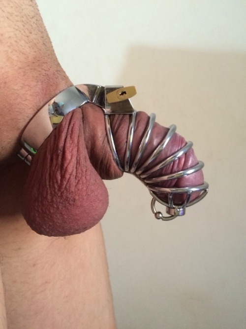 joeguardian:Here’s my new chastity device with an urethral...