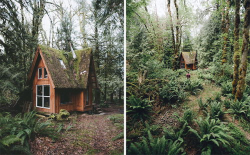 wild-cabins:Jacob Witzling