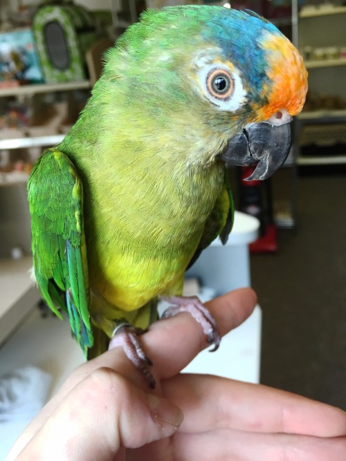 bekahs-birds:Today was an incredible day for Carl. This is the...