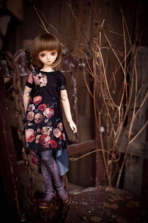 www.feeriedoll.com something new! :D