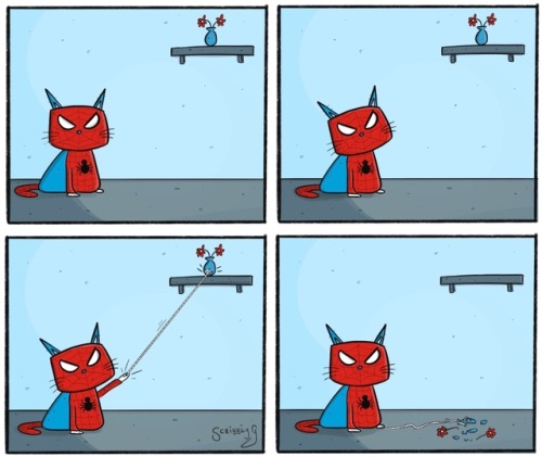 scribblyg:The Amazing Spider-Cat