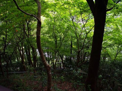 namimushisrn:御嶽神社（2018/09/13）　　Ontake-Shrine埼玉県飯能市中藤中郷 ...