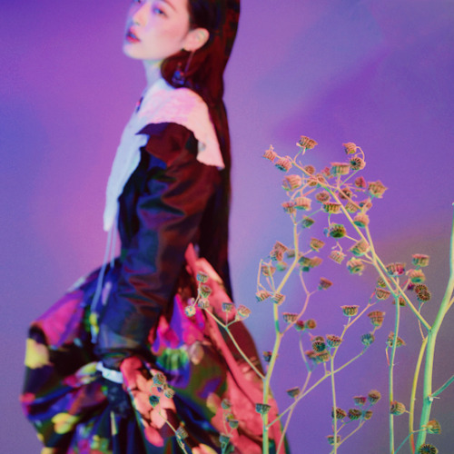 choissul:sulli for wkorea