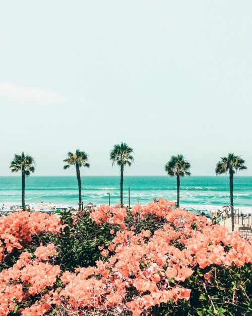 *summer* | Tumblr