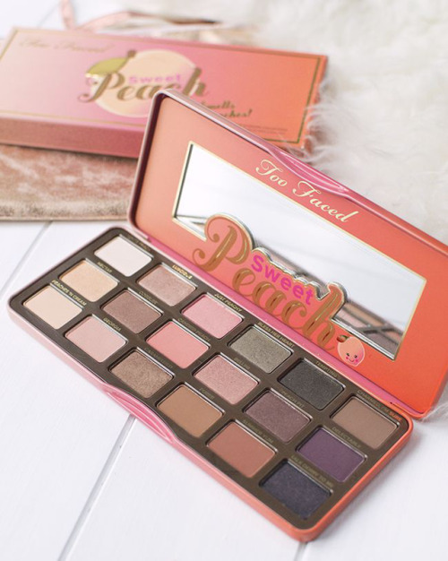 palette makeup palette makeup
