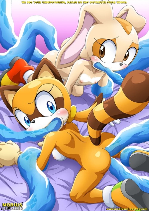 Sonic Furry Bomb