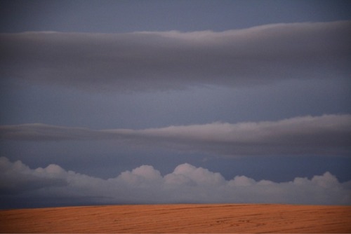 - Cloud decks and stubble. Umatilla CountyPhotograph by...