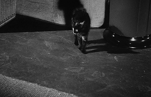 filmgifs