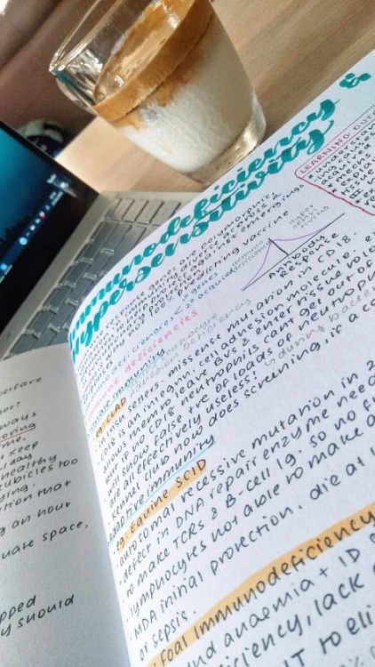 studywithyashu