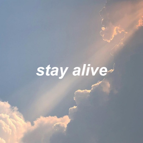 stay alive on Tumblr