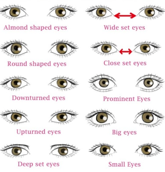 Asian Eye Shape Chart