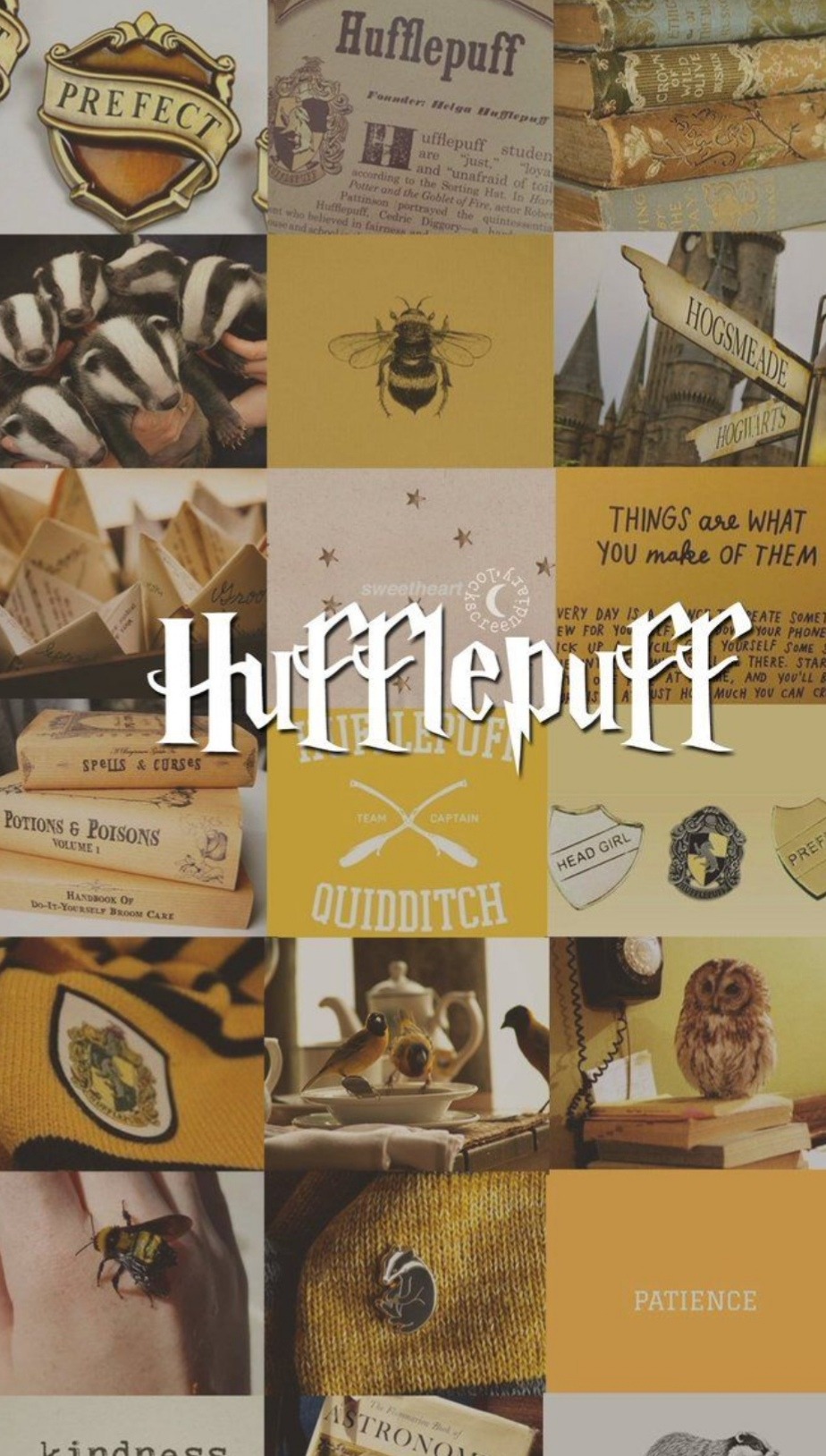 Harry Potter Hupplepuff Tumblr