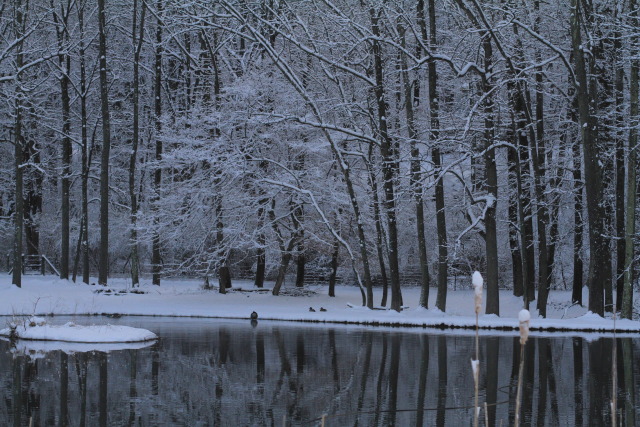 Download Snowfall on first day of Spring! Gorgeous scenery ...