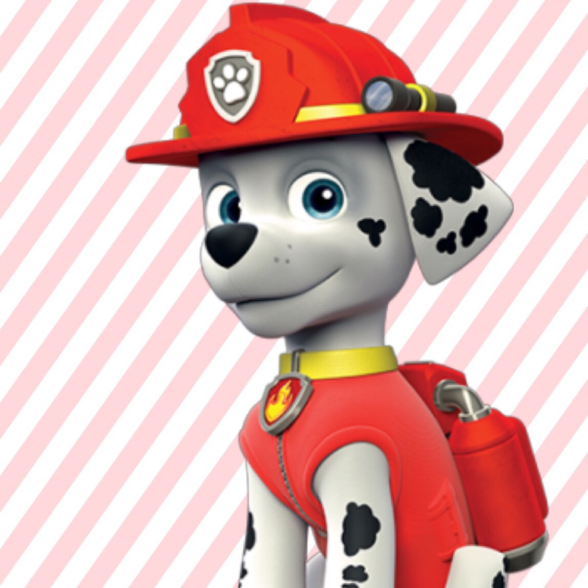 Chase Paw Patrol Dog Breed | Paw Patrol Corner