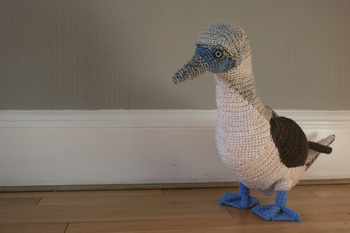 knithacker:She Crocheted a Blue-Footed Booby!...