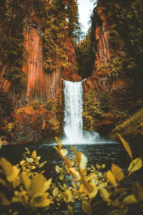 Toketee Falls, Oregon.