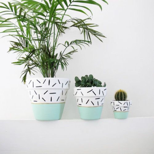 lesstalkmoreillustration:Hand Painted Plant Pots By...